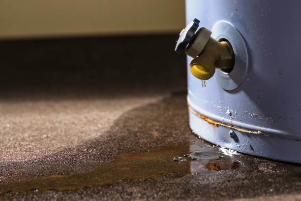 Best Commercial water damage restoration  in Panthersville, GA