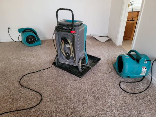 Best Sewage cleanup and water damage restoration  in Panthersville, GA