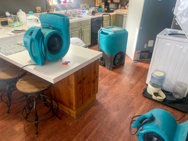 Best Water damage restoration company  in Panthersville, GA