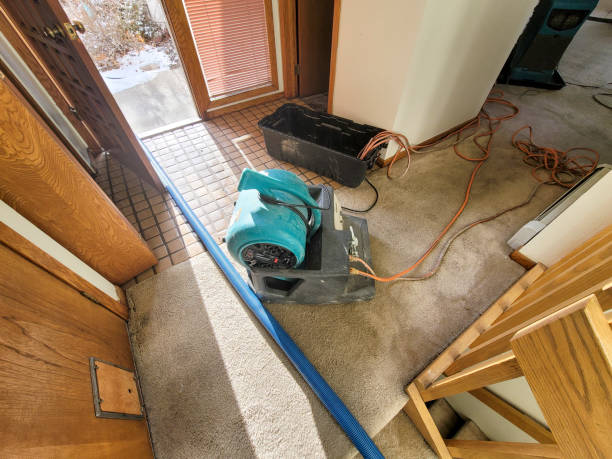 Best Residential water damage restoration  in Panthersville, GA