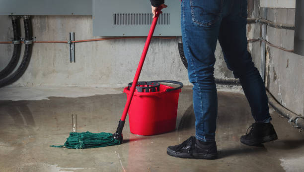 Best Sewage cleanup and water damage restoration  in Panthersville, GA