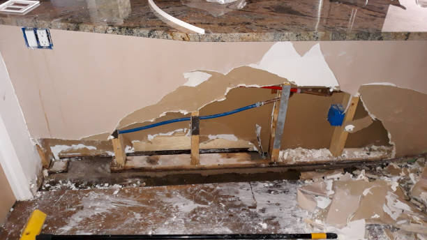 Best Mold removal after water damage  in Panthersville, GA