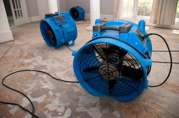 Best Flooded house restoration  in Panthersville, GA