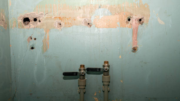 Best 24-hour water damage restoration  in Panthersville, GA