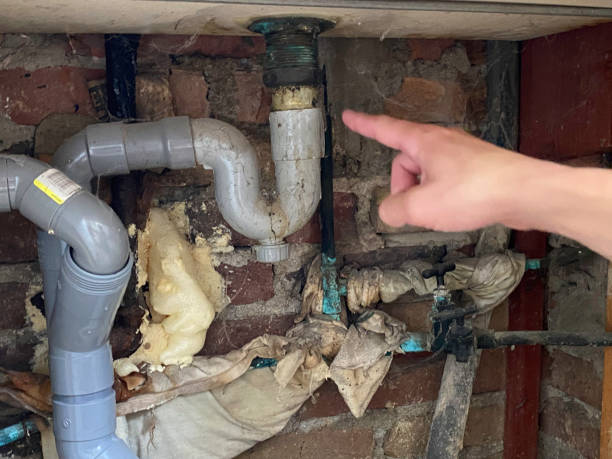Best Mold removal after water damage  in Panthersville, GA